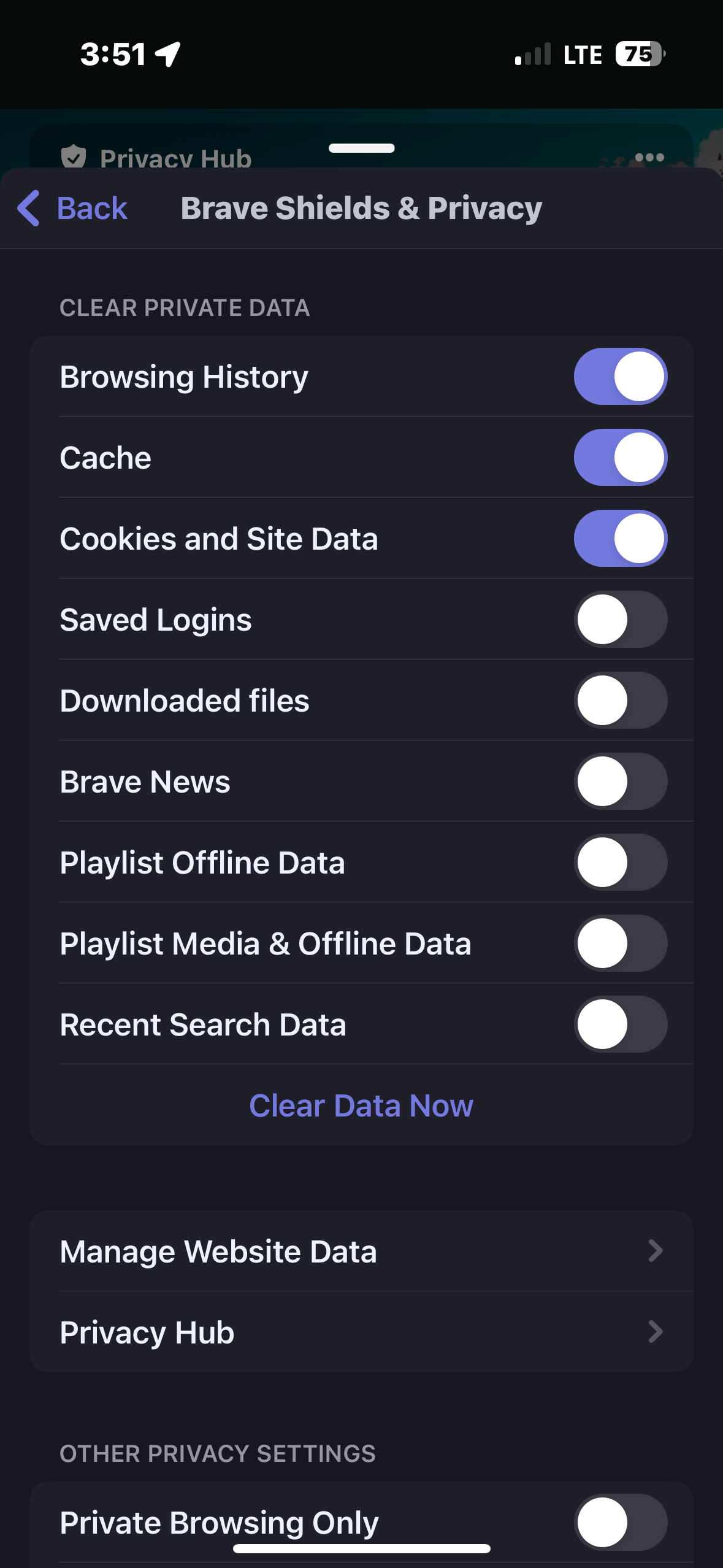 Clearing Brave Browsing Data on iOS