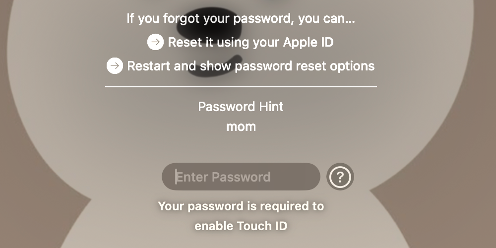 forgotten macOS password options