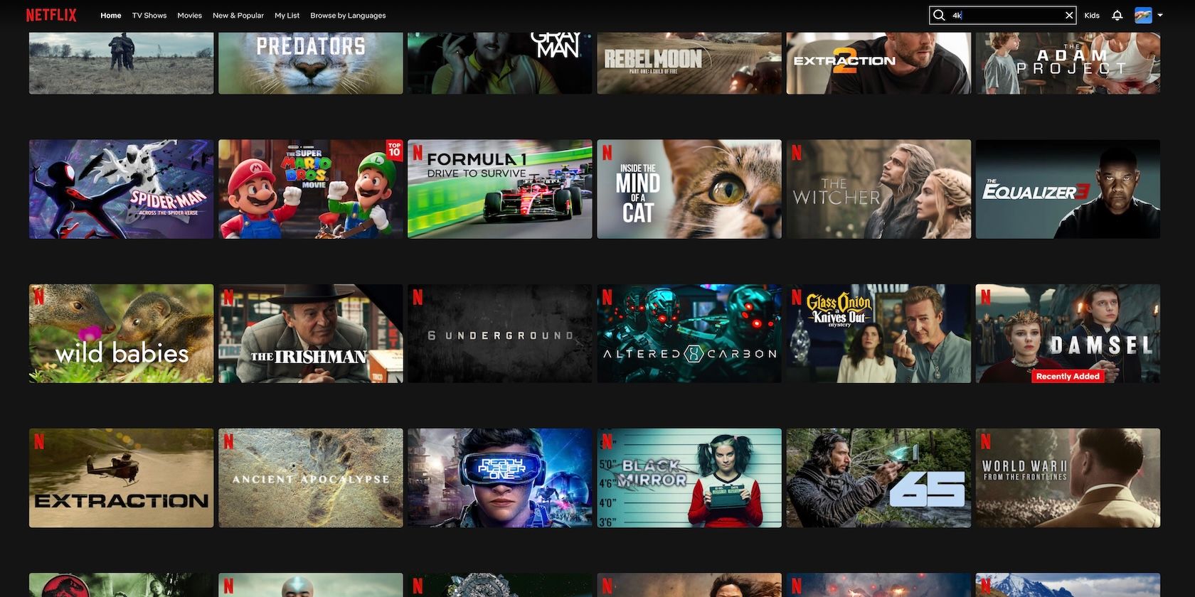 Netflix 4K Offerings with search bar