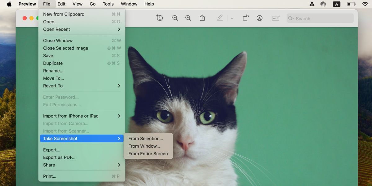 screenshot options in Preview on Mac