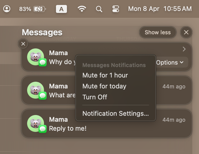 temporarily muting notifcations from Messages 