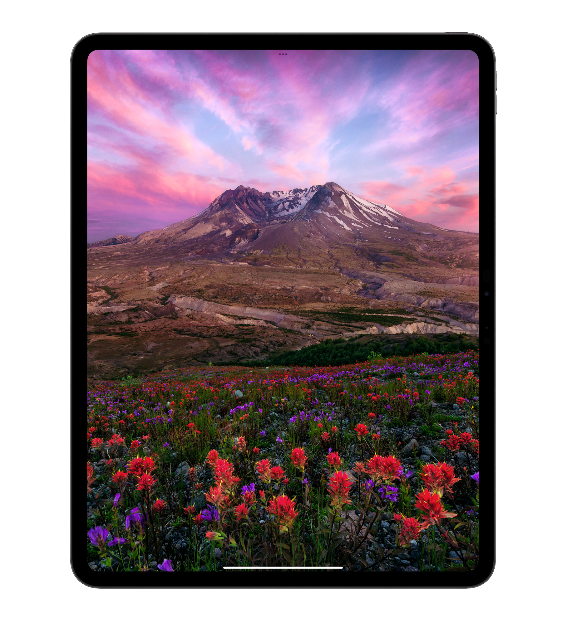 apple ipad pro 13 inch tablet with picture of a field of flowers