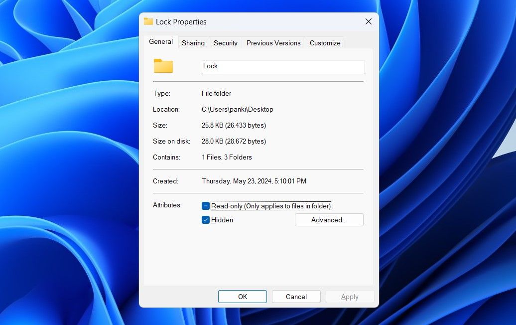 Hidden Option for Folder in Windows