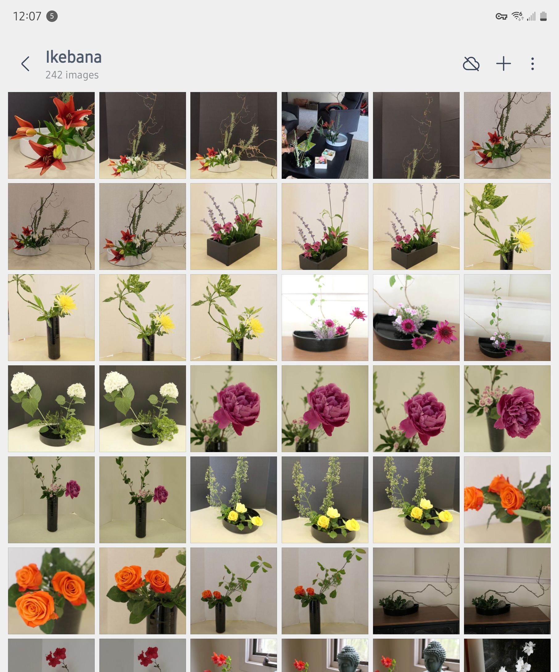 A grid of photos from Samsung Gallery.