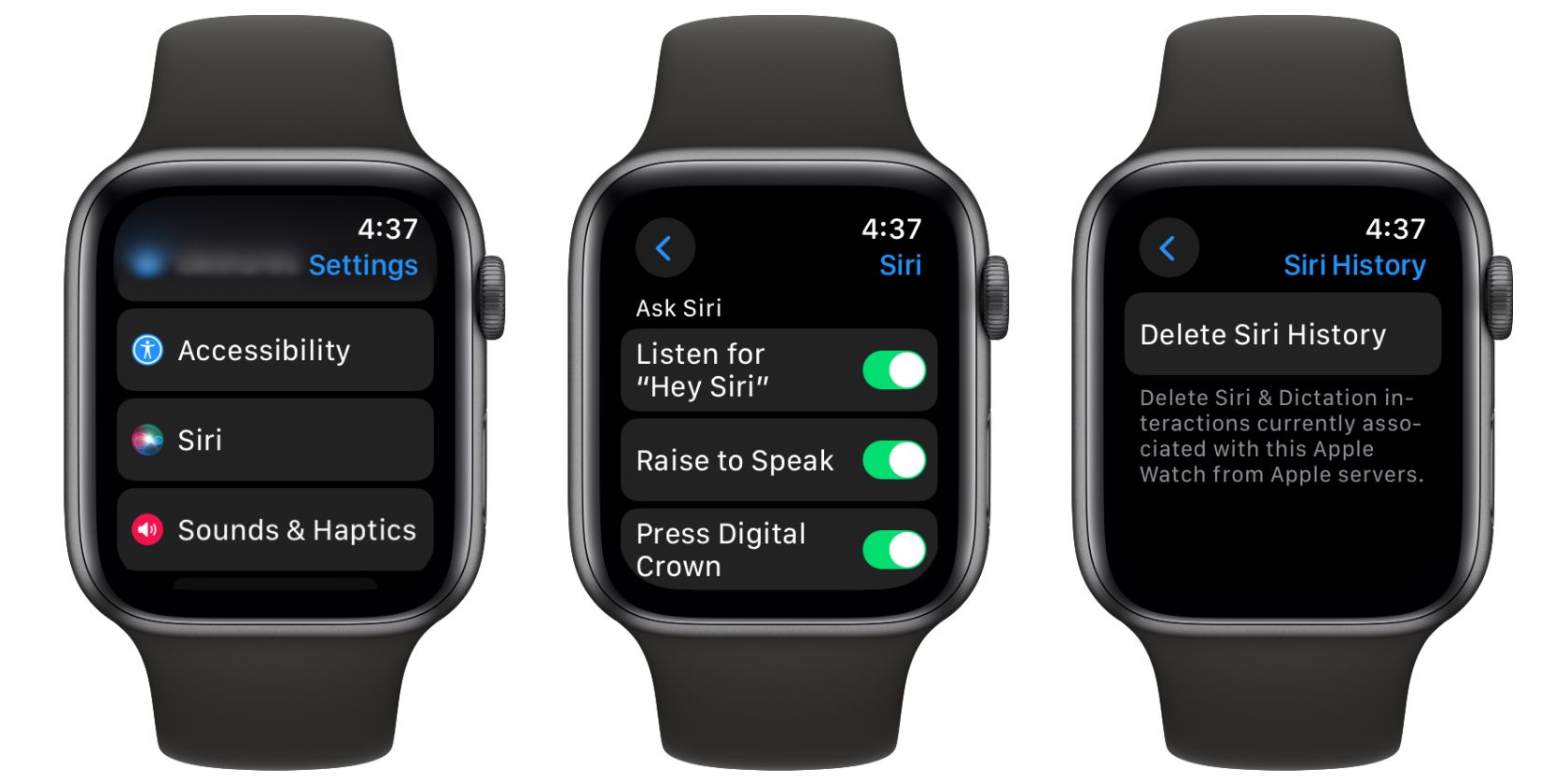 Apple Watch Siri Settings