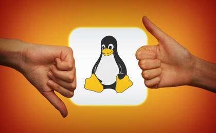 Hands showing thumbs up and thumbs down around the Linux logo, indicating mixed opinions on the operating system.
