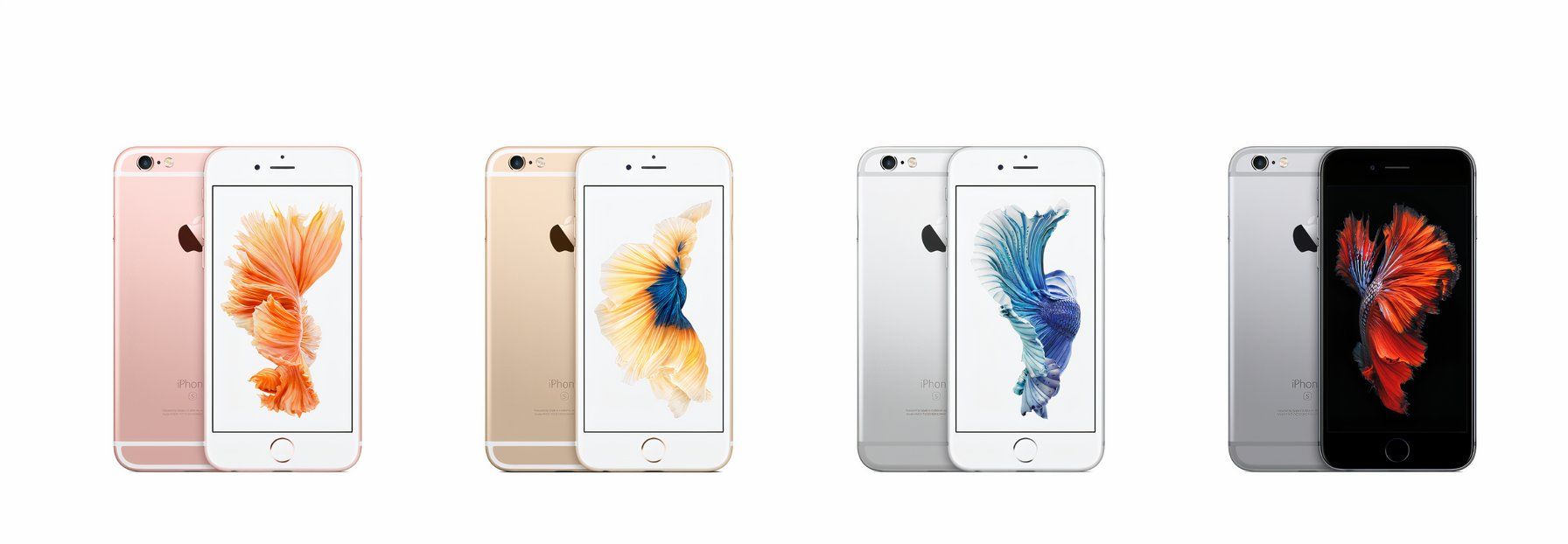 iphone 6s در رنگ های مختلف