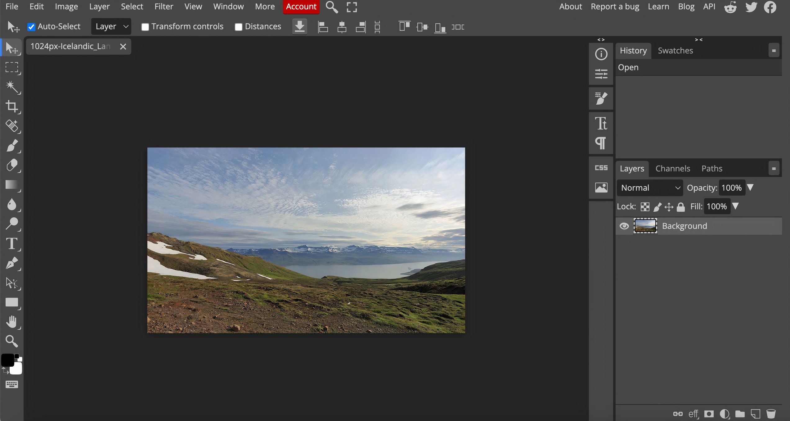 Editing an image on a popular image editing platform