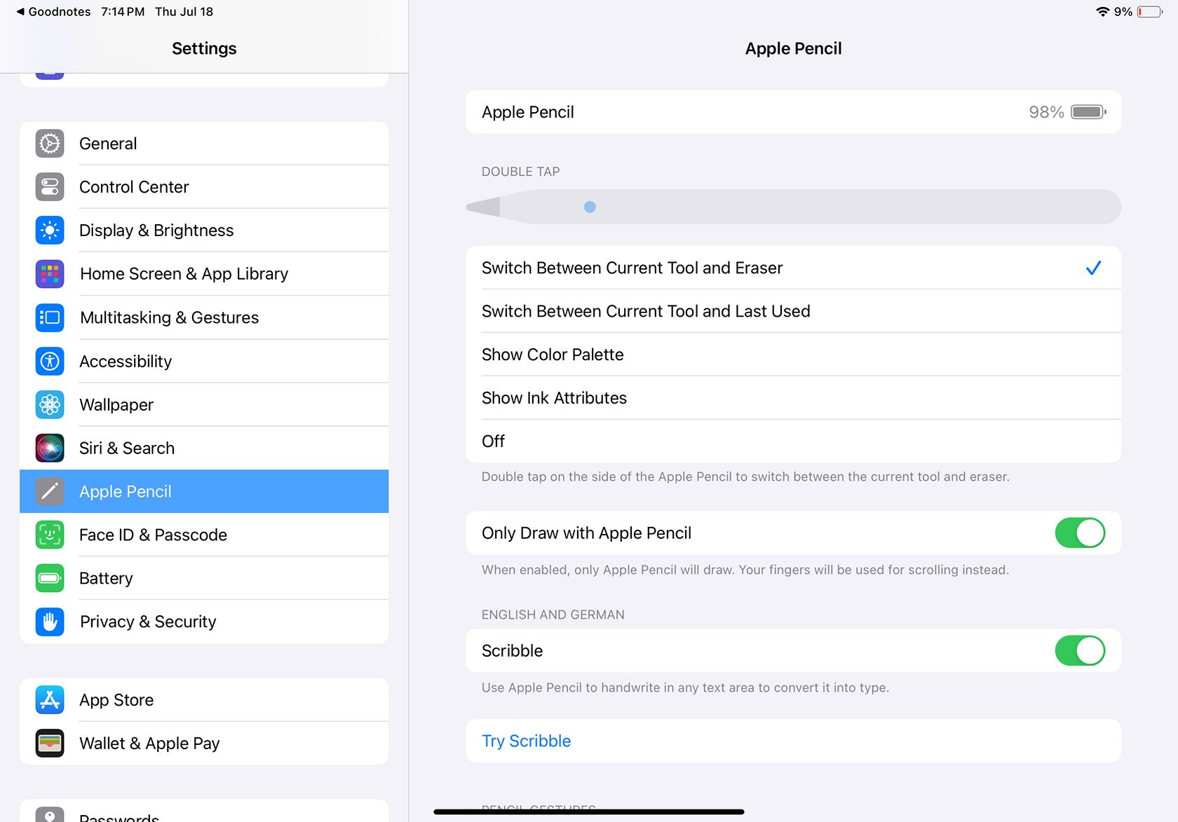 iPad Apple Pencil Settings