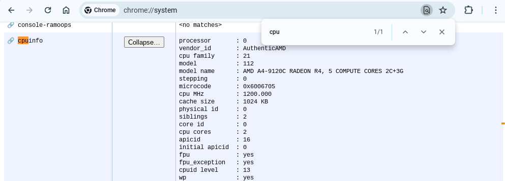 looking for more info on system specs in ChromeOS Chrome system page