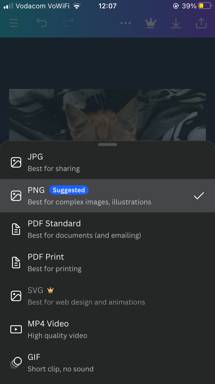 Choosing file format for download in Canva app