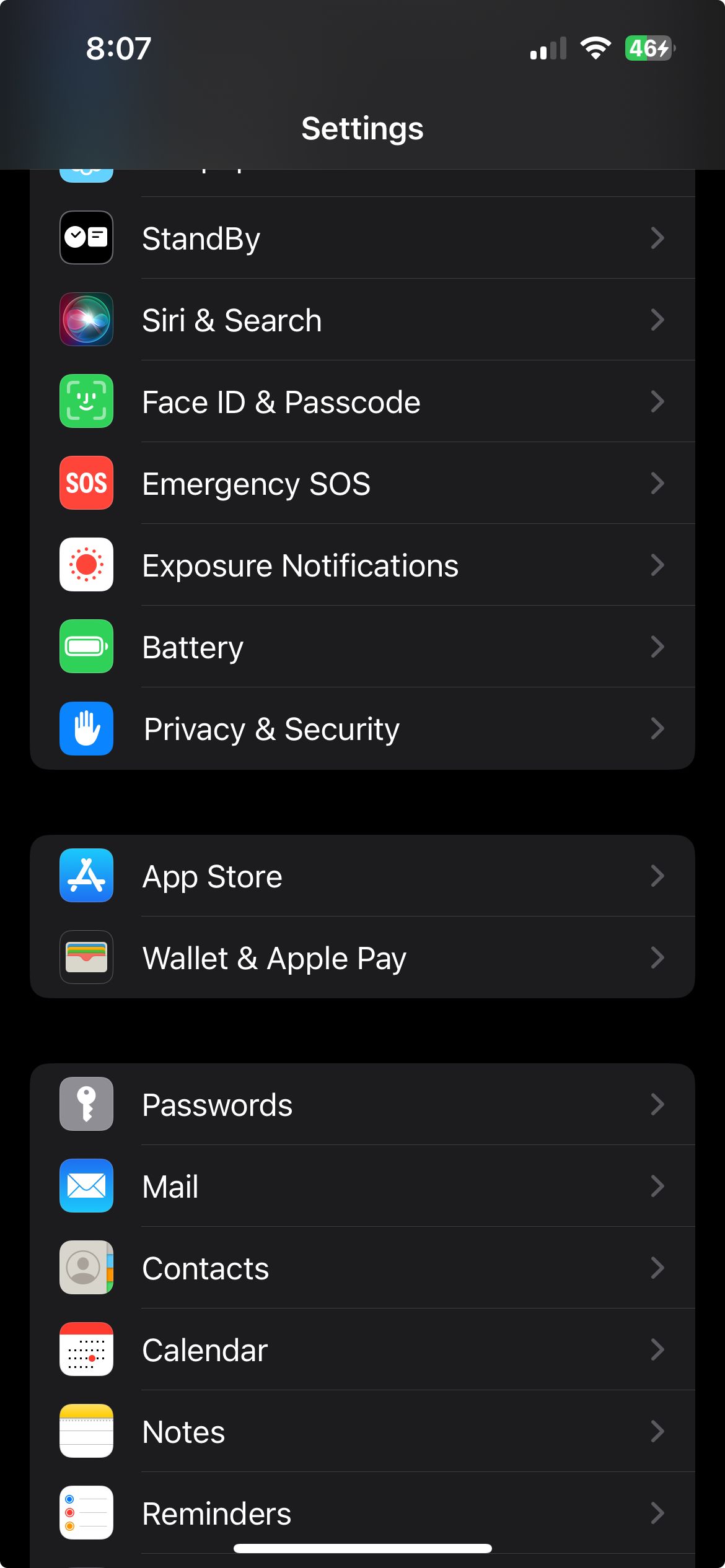 iPhone privacy and security settings section