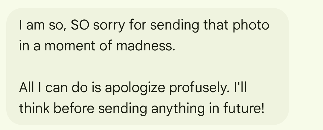 A message apologizing for a rude joke