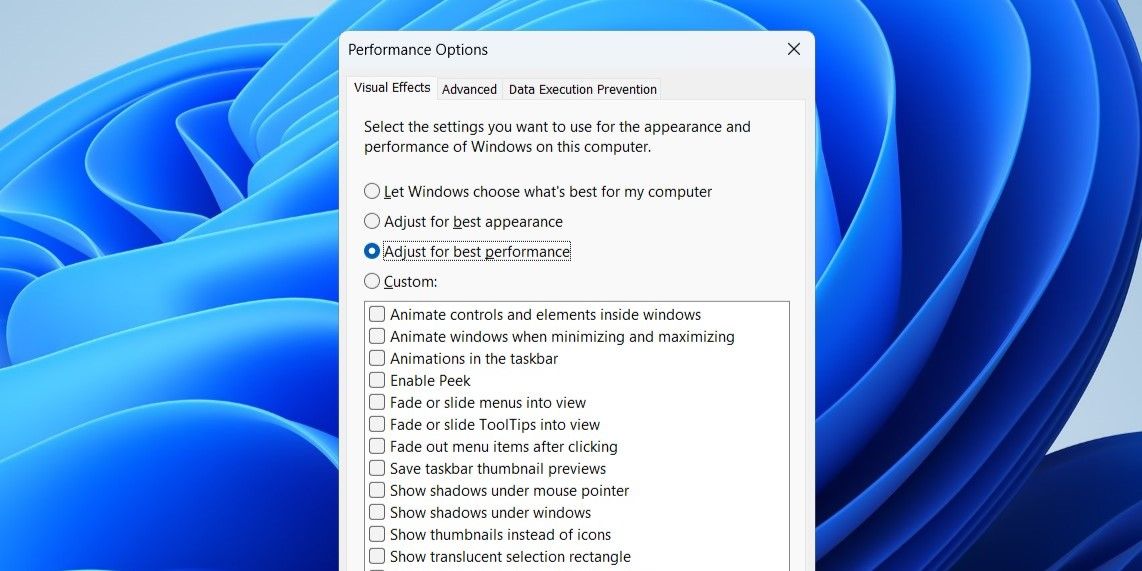 Performance Options in Windows 11