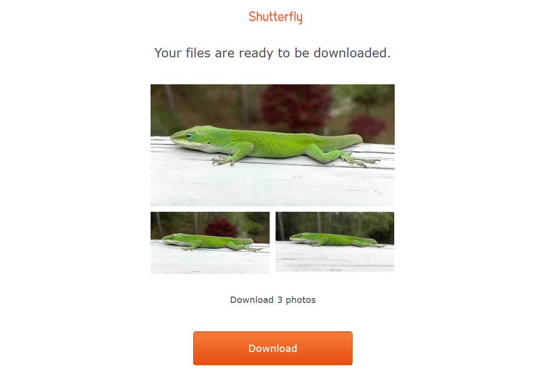 ایمیل shutterfly می گوید که همه تصاویر من برای دانلود آماده هستند