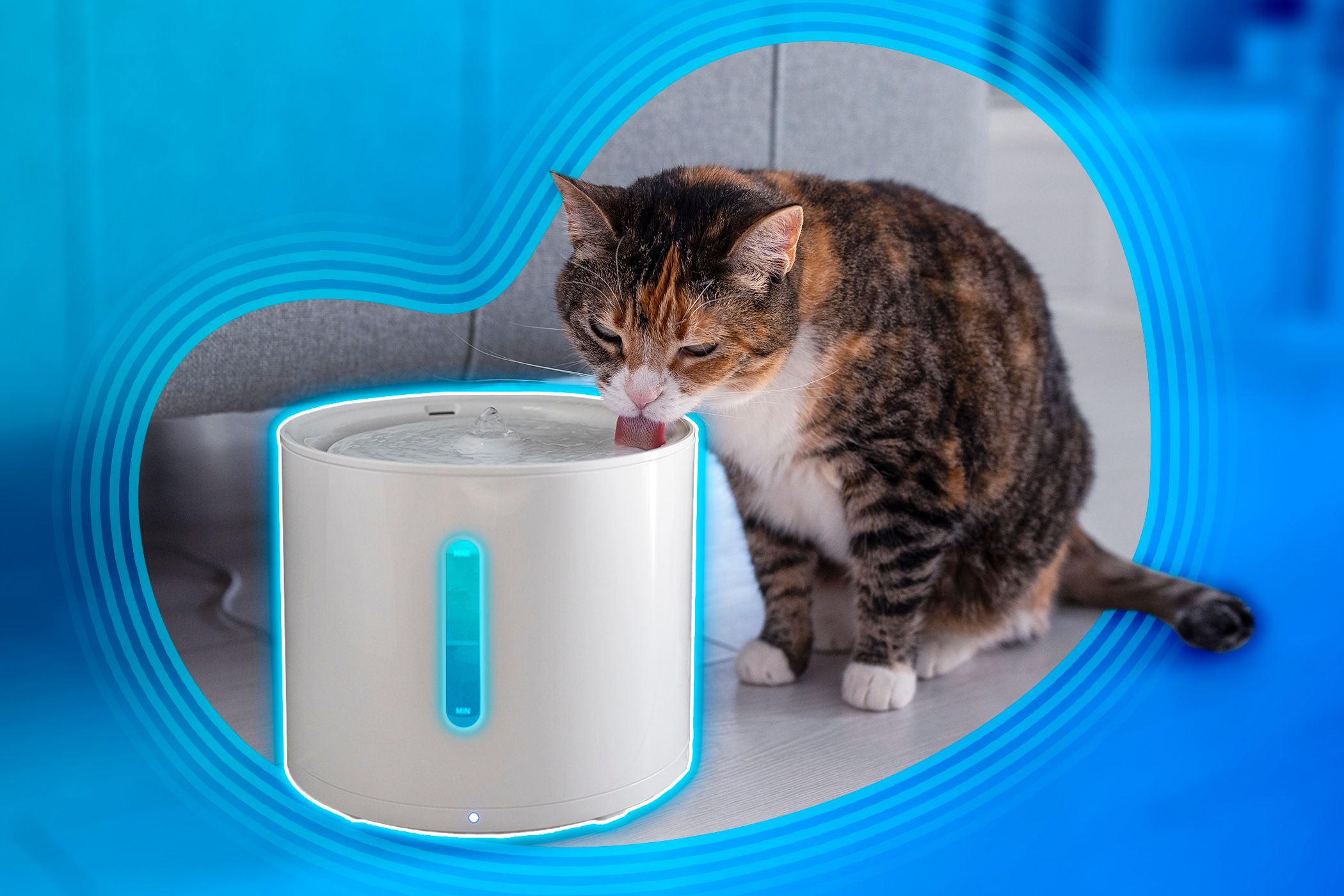 These Are My 5 Favorite Smart Home Devices for My Pets