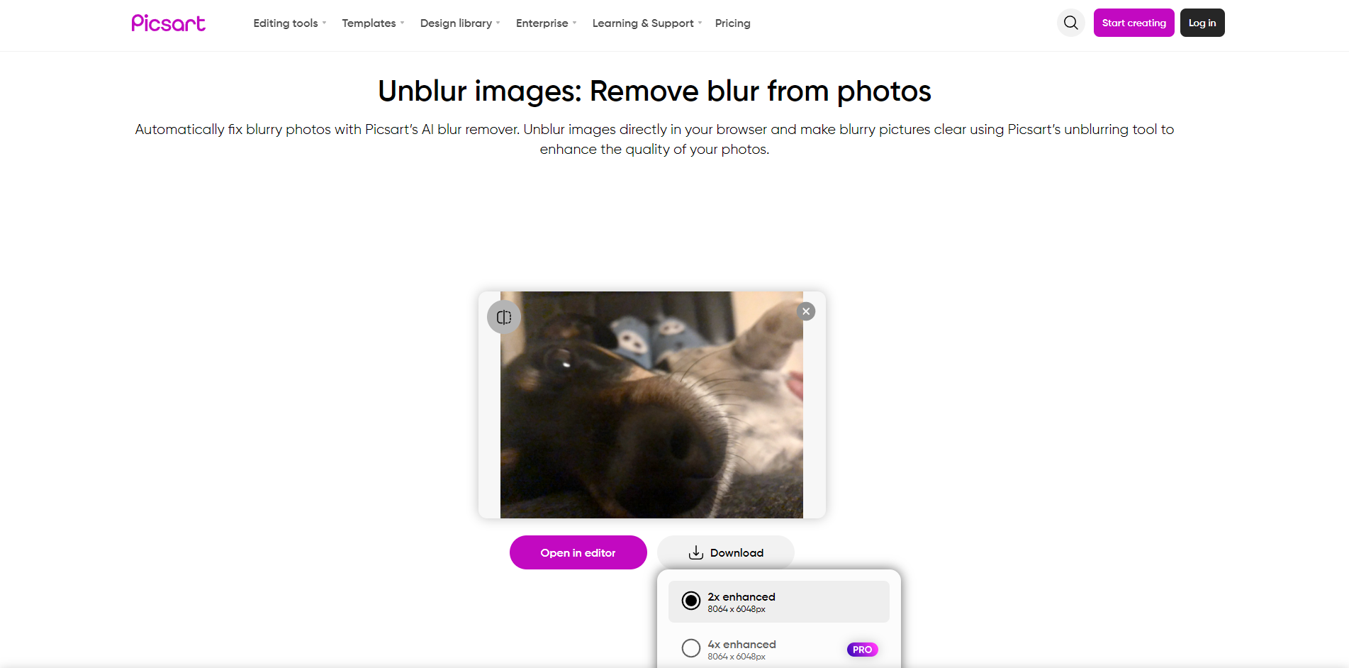 Using Picsart Unblur tool for blurred dog photo