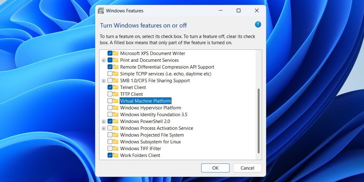 Virtual Machine Platform Option in Windows Features