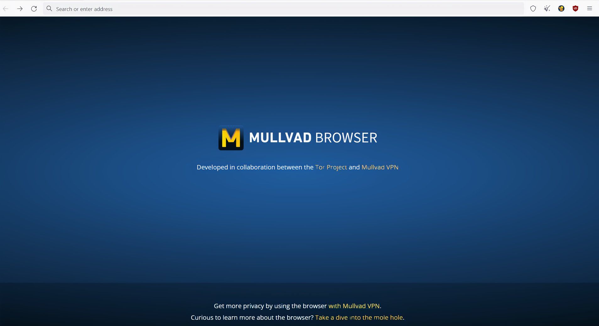 The homepage of the Mullvad Browser post-installation.