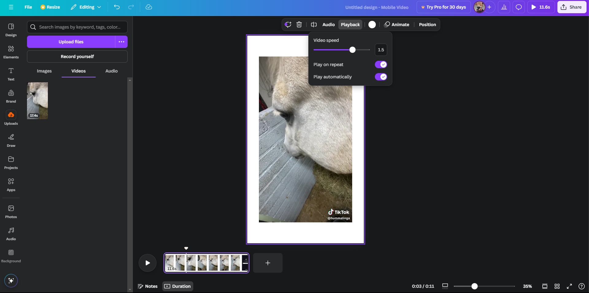 Editing video of white horse in Canva