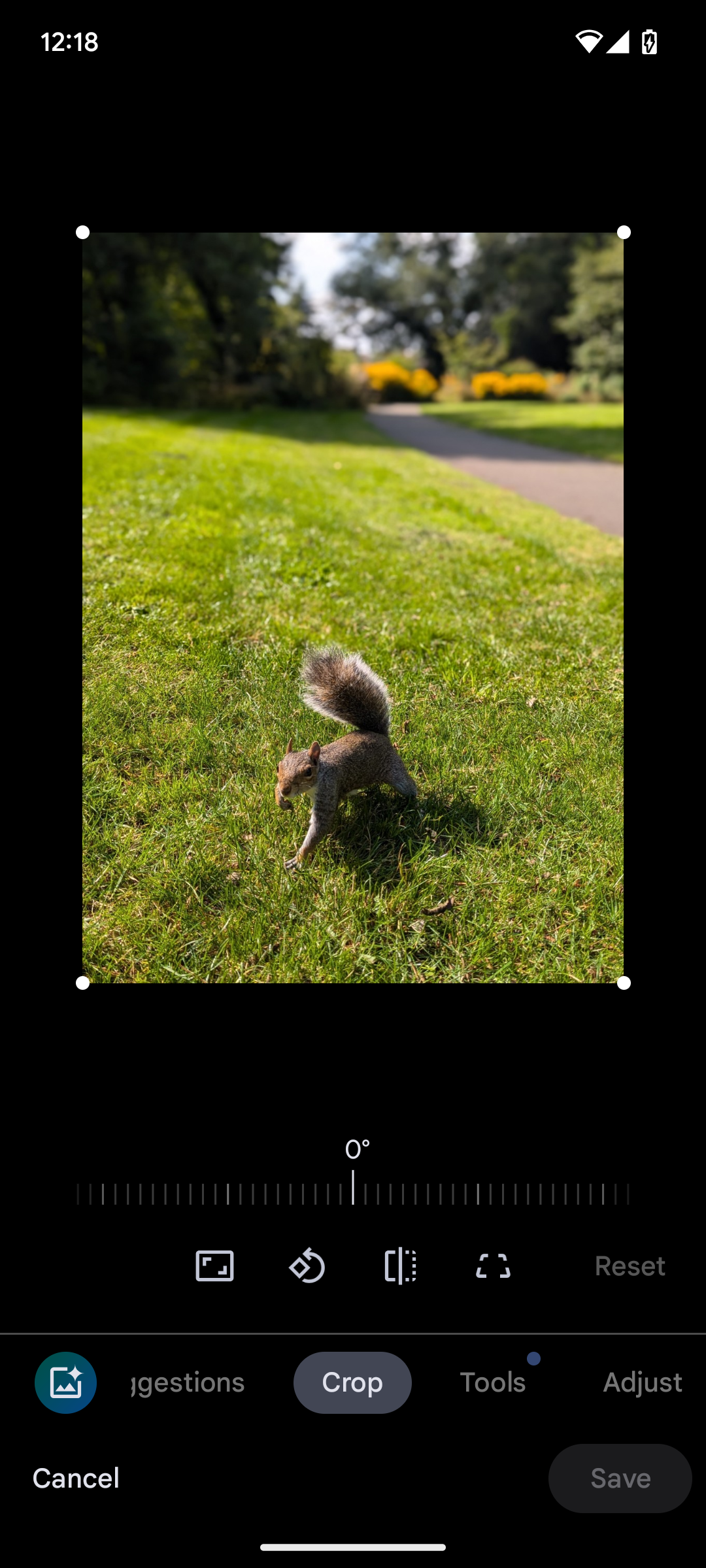 Google Photos' new flip editing feature