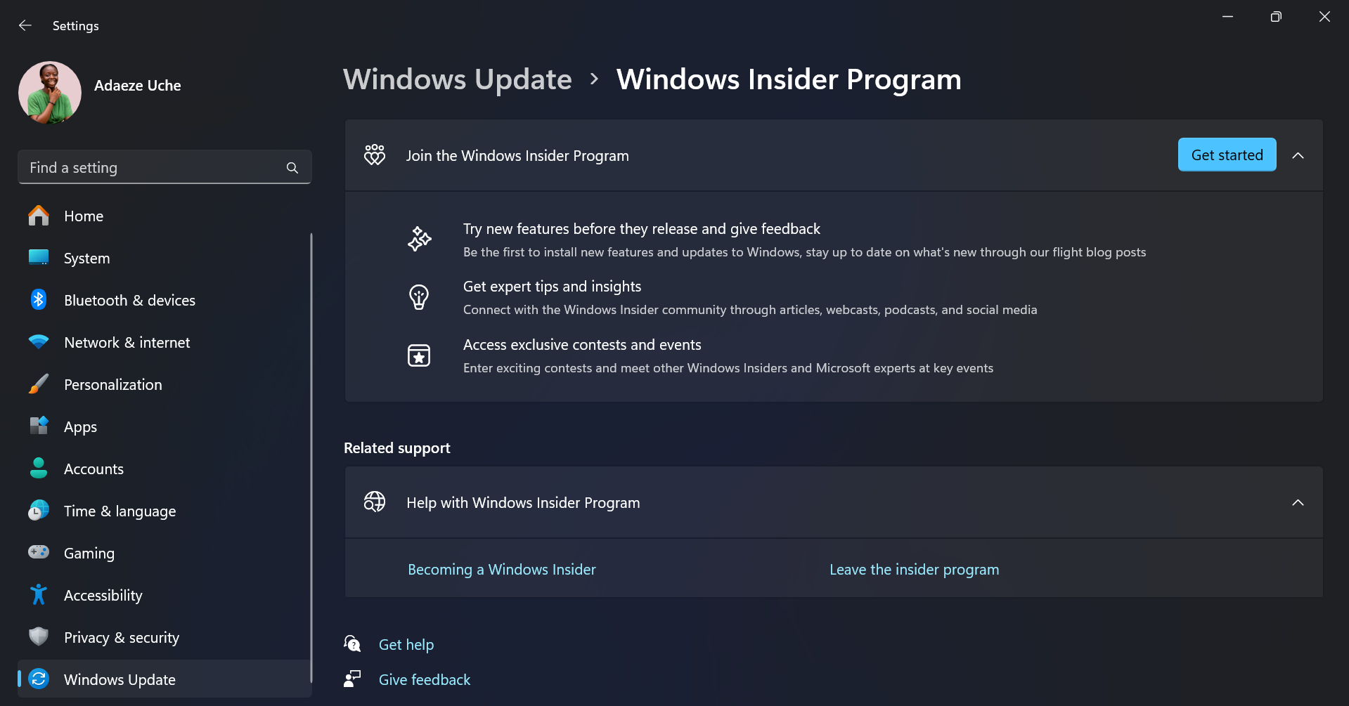 صفحه برنامه Windows Insider در برنامه تنظیمات در رایانه شخصی ویندوز 11 نمایش داده می شود