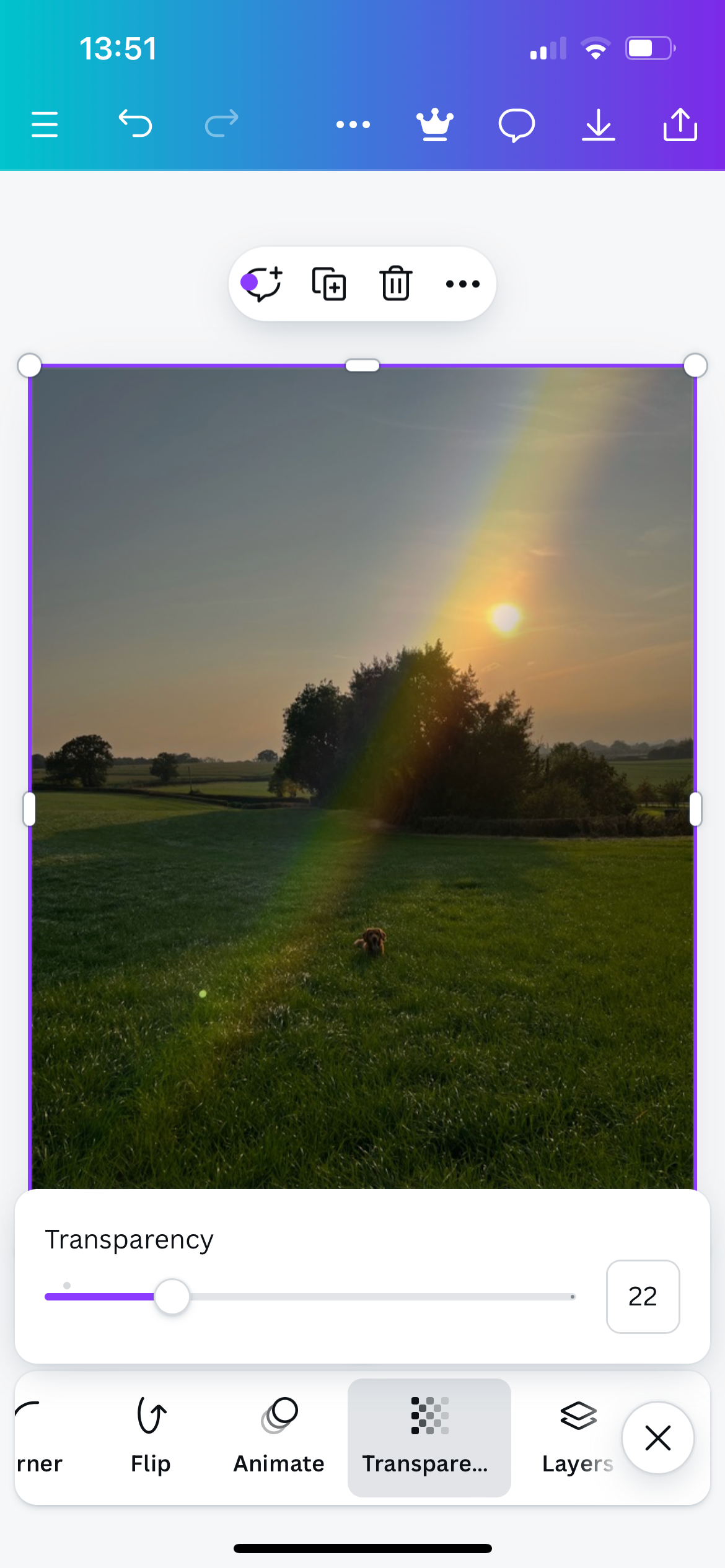 Canva Photo Lens Flare Overlay