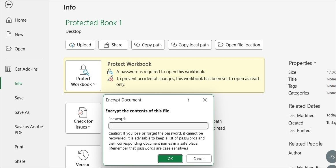 Changing or Removing Excel File Password