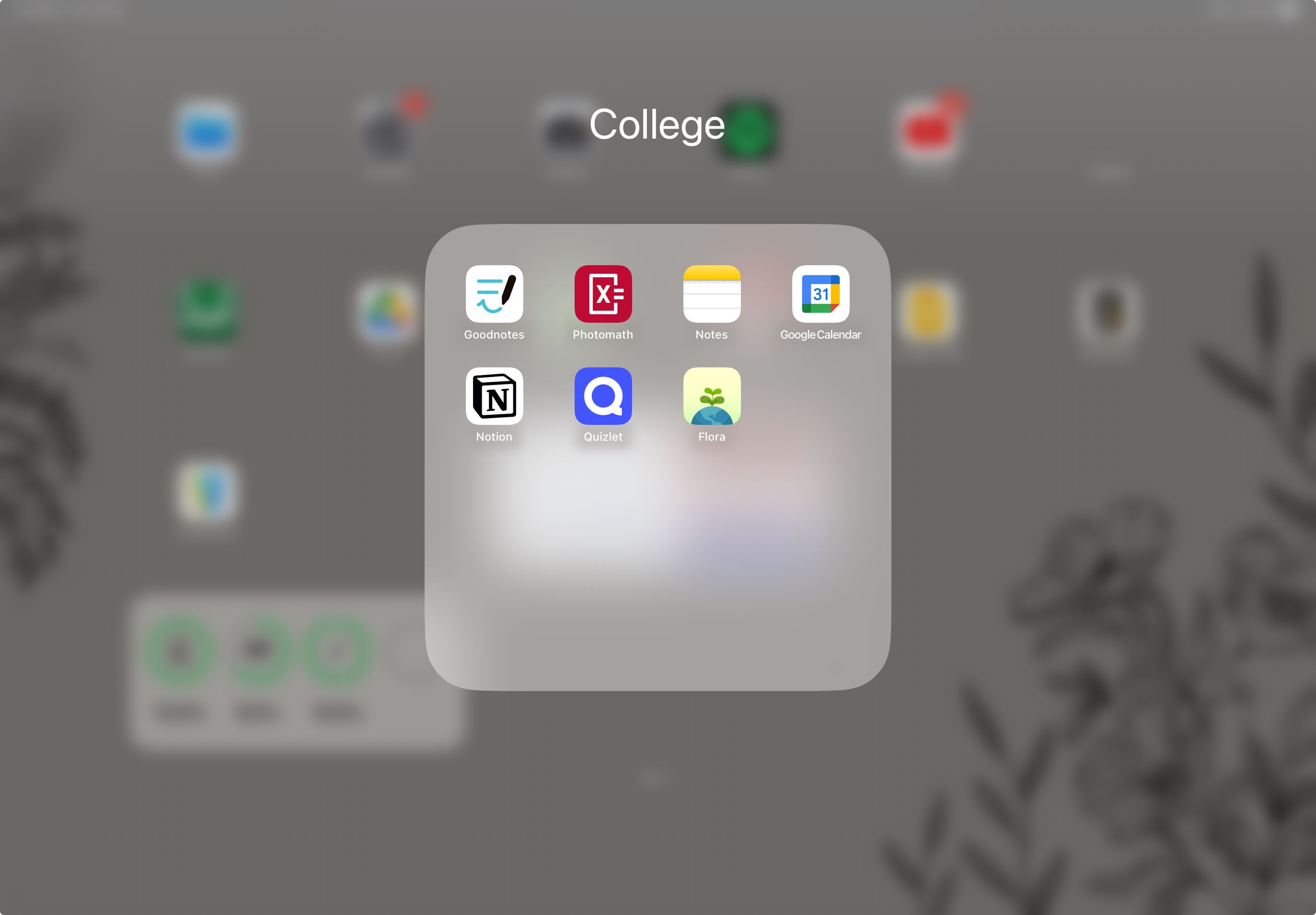 Folder of apps including Goodnotes, Photomath, Notes, Google Calendar, Notion, Quizlet and Flora