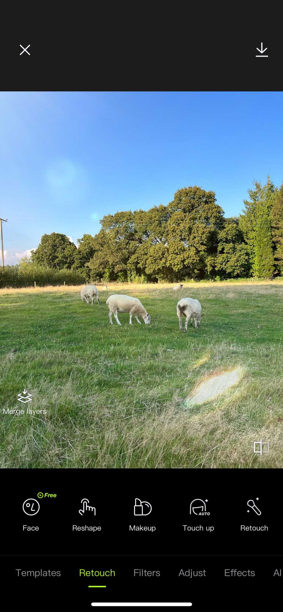7 Reasons Why This App Is Becoming My Favorite Free Photo Editor