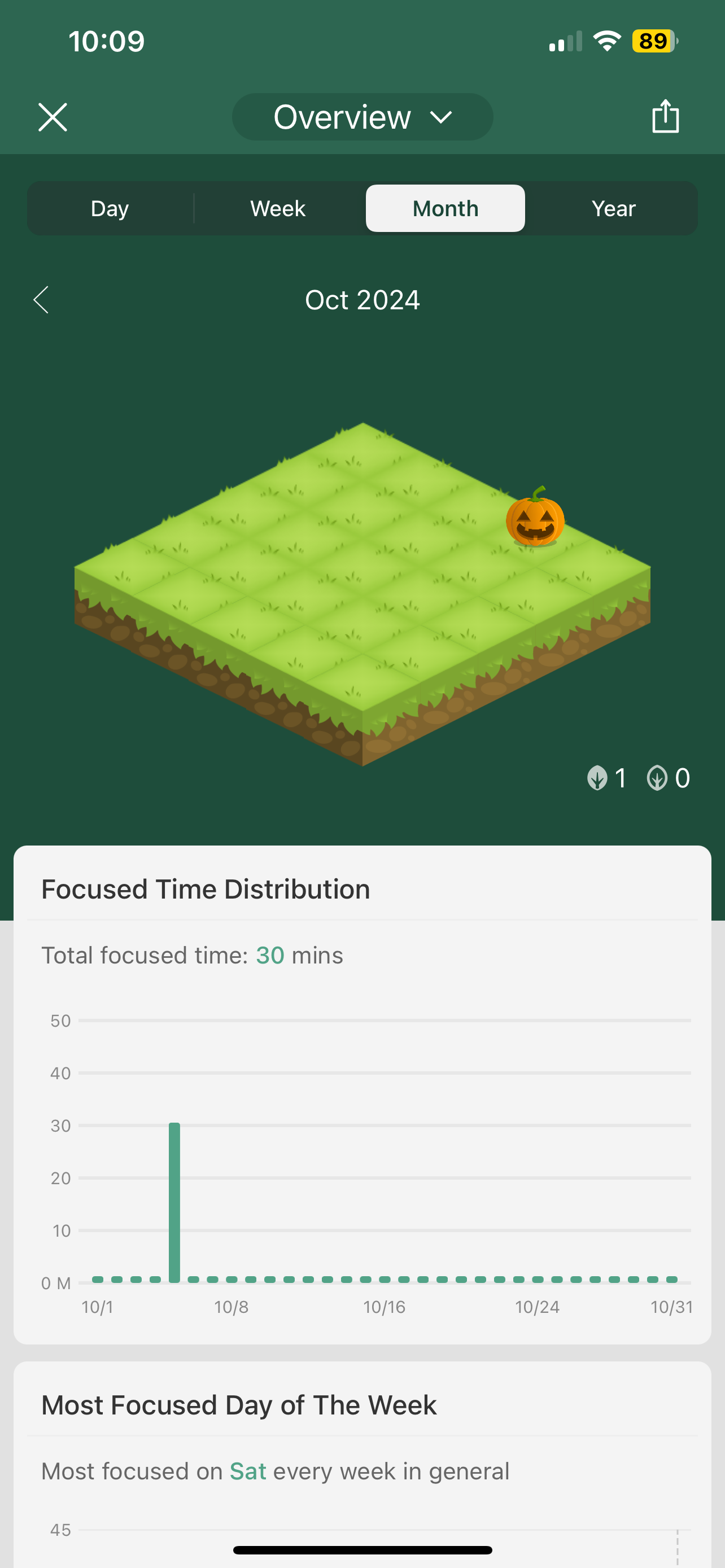 Forest app forest with one Halloween pumpkin