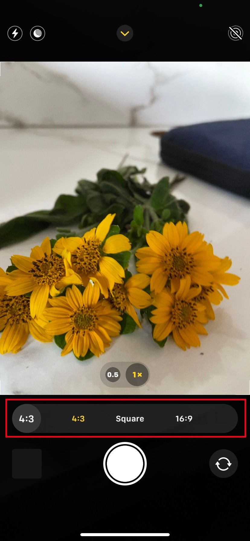 iphone camera screenshot showing aspect ratios