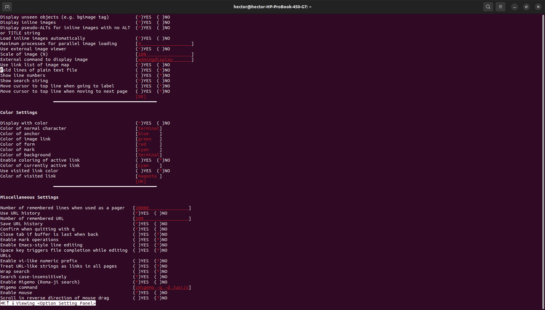 option setting panel in w3m