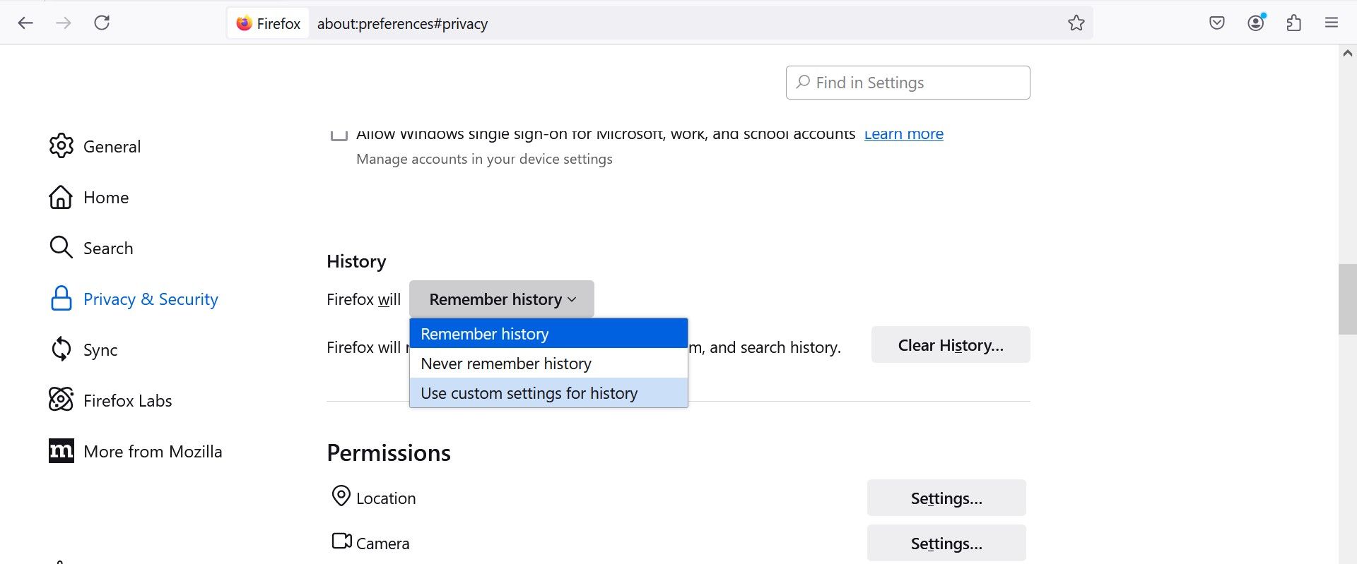 Use custom settings for history in Firefox