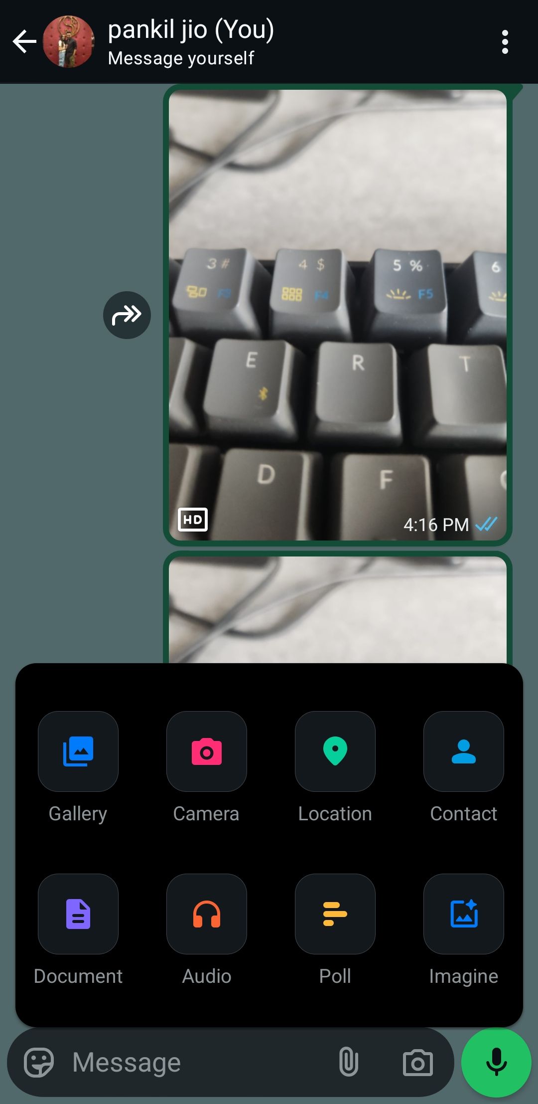 Sharing Options in WhatsApp Chat