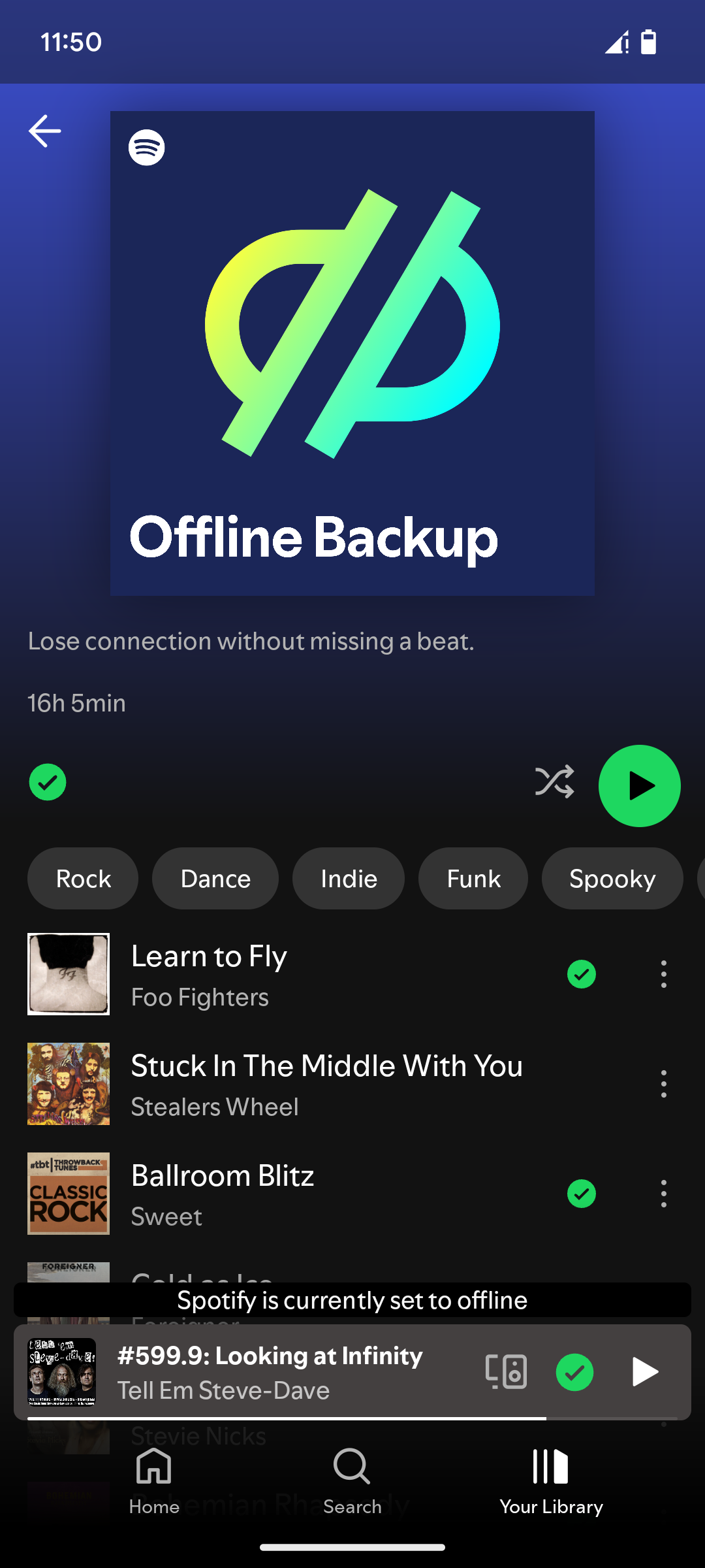 Spotify's Offline Backup playlist