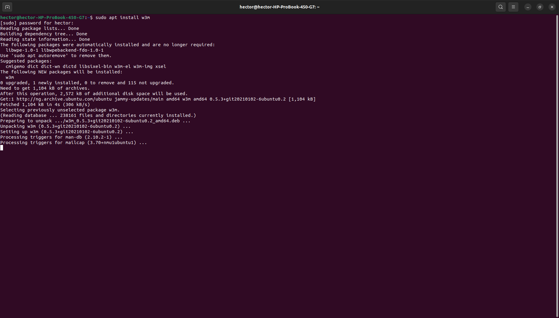 w3m installation on Ubuntu