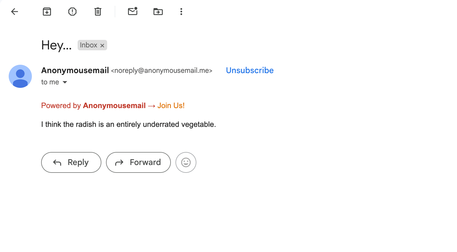 Example of a received email from Anonymousemail.me