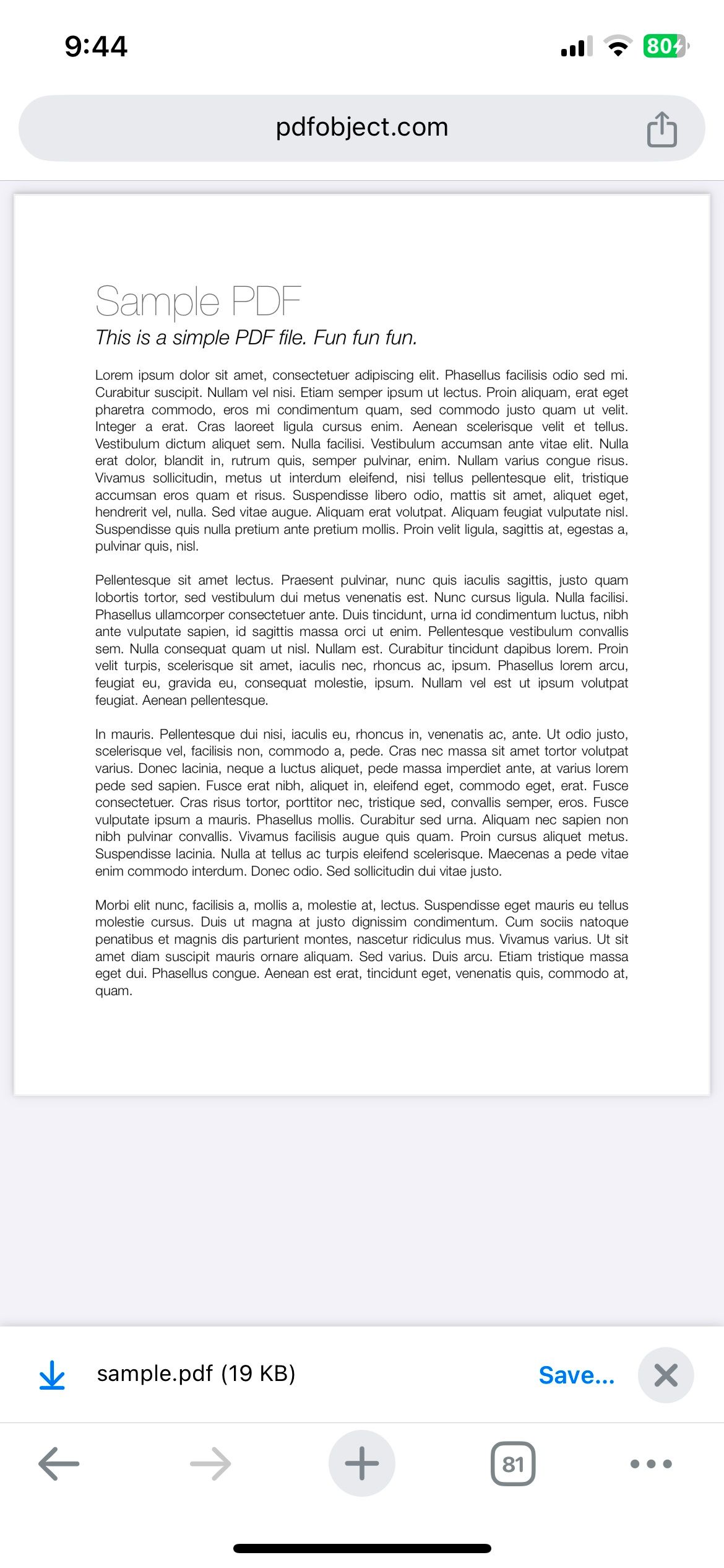 Chrome Showing a Sample PDF on iPhone