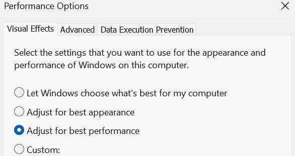 Customizing the visual effects settings in the performance options window.