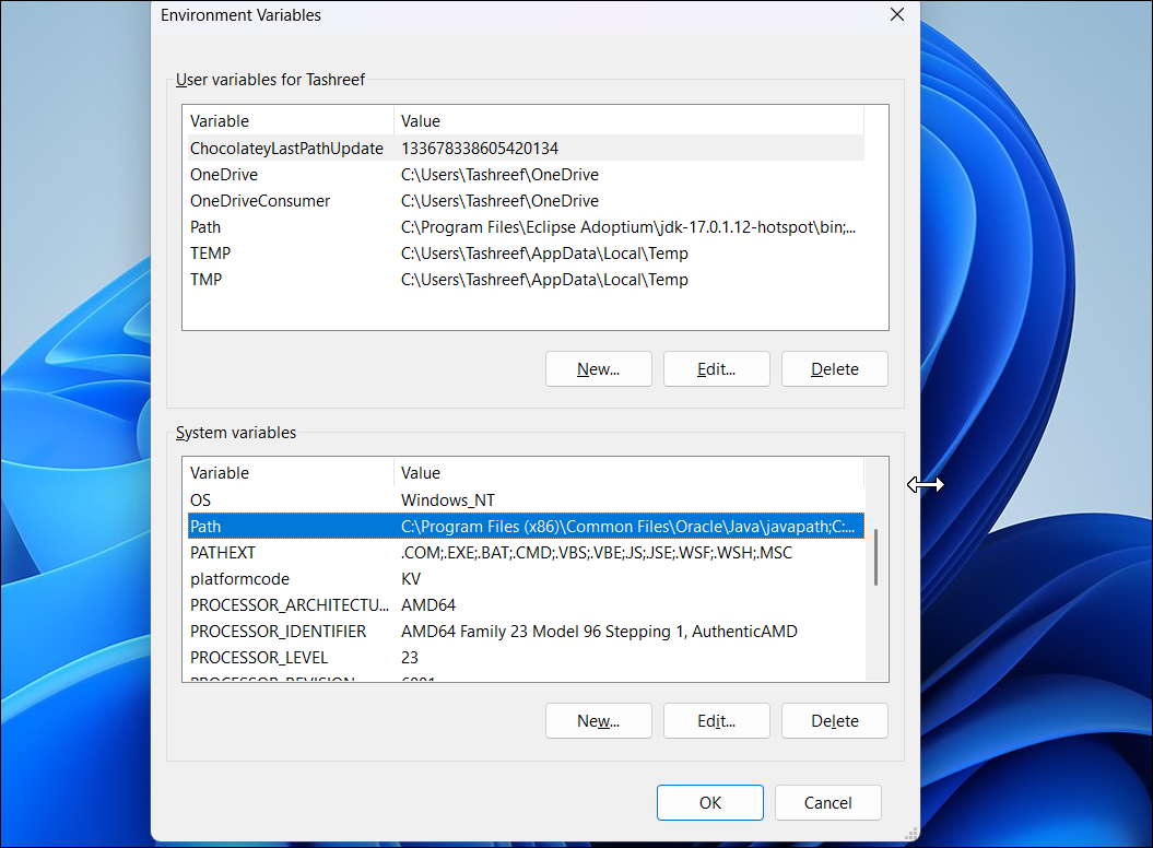 environment variables dialog with the path line selected in Windows 11-1