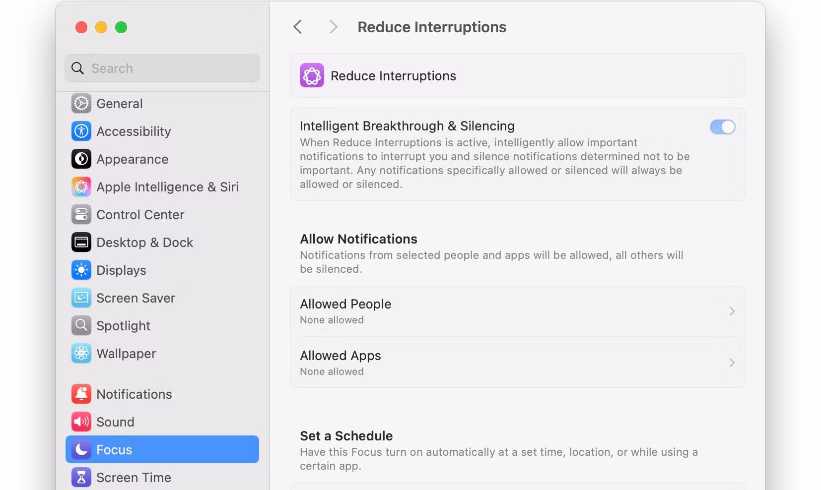 Reduce Interruptions Focus mode in macOS Sequoia 15.1 System Settings