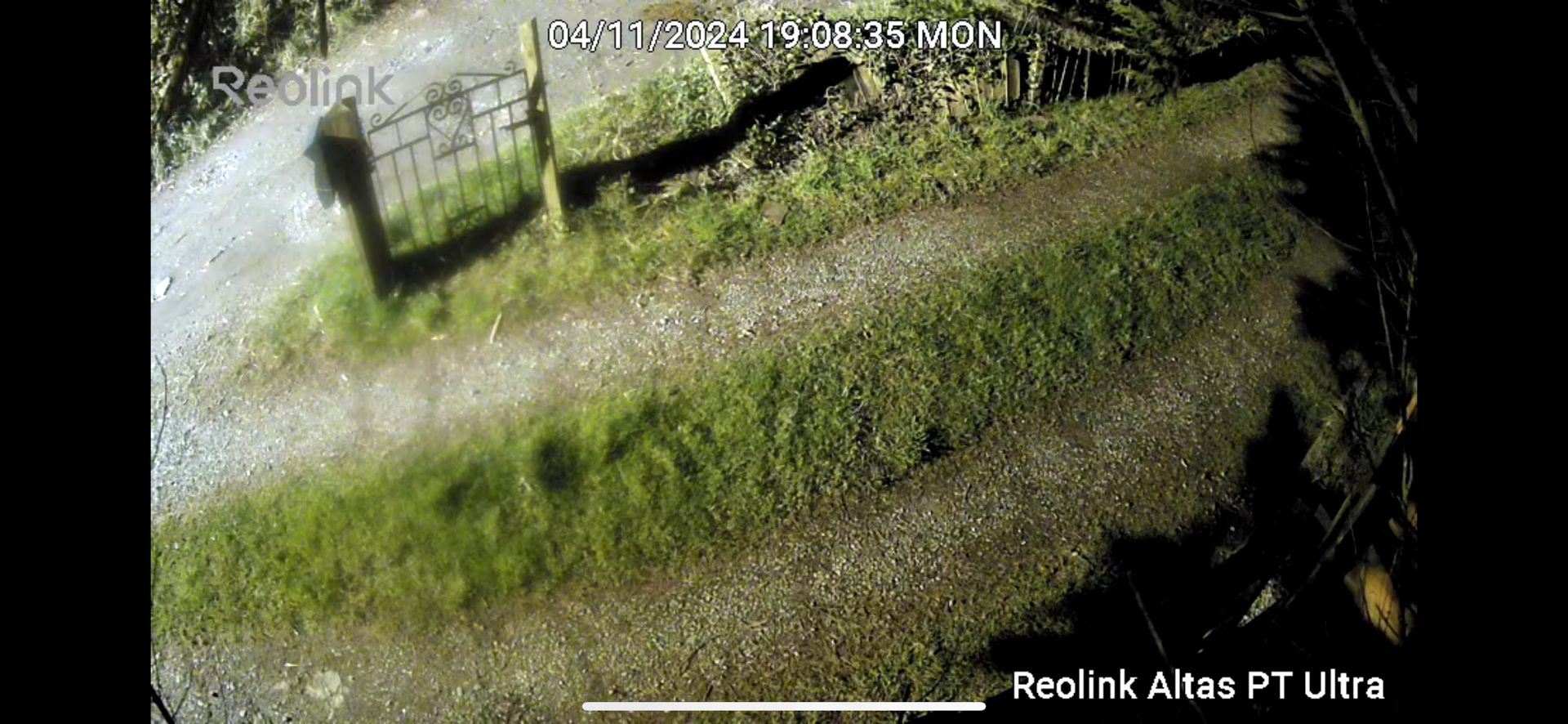 Reolink PT Ultra app horizontal night view.