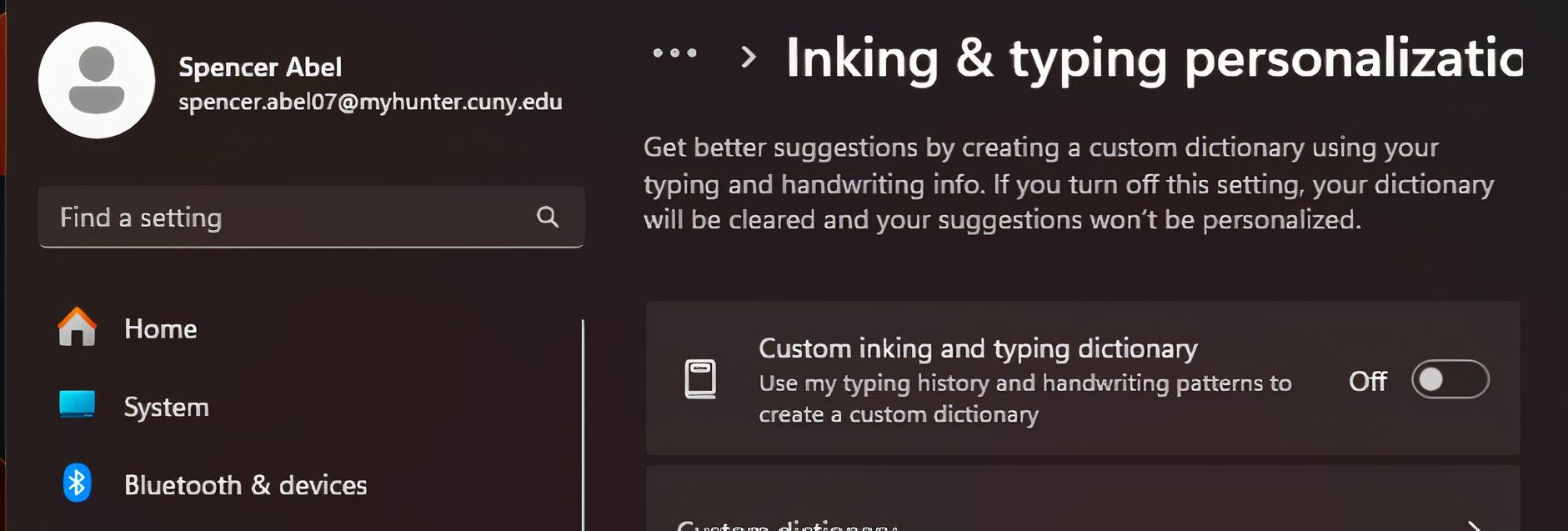 Windows inking and typing settings. 