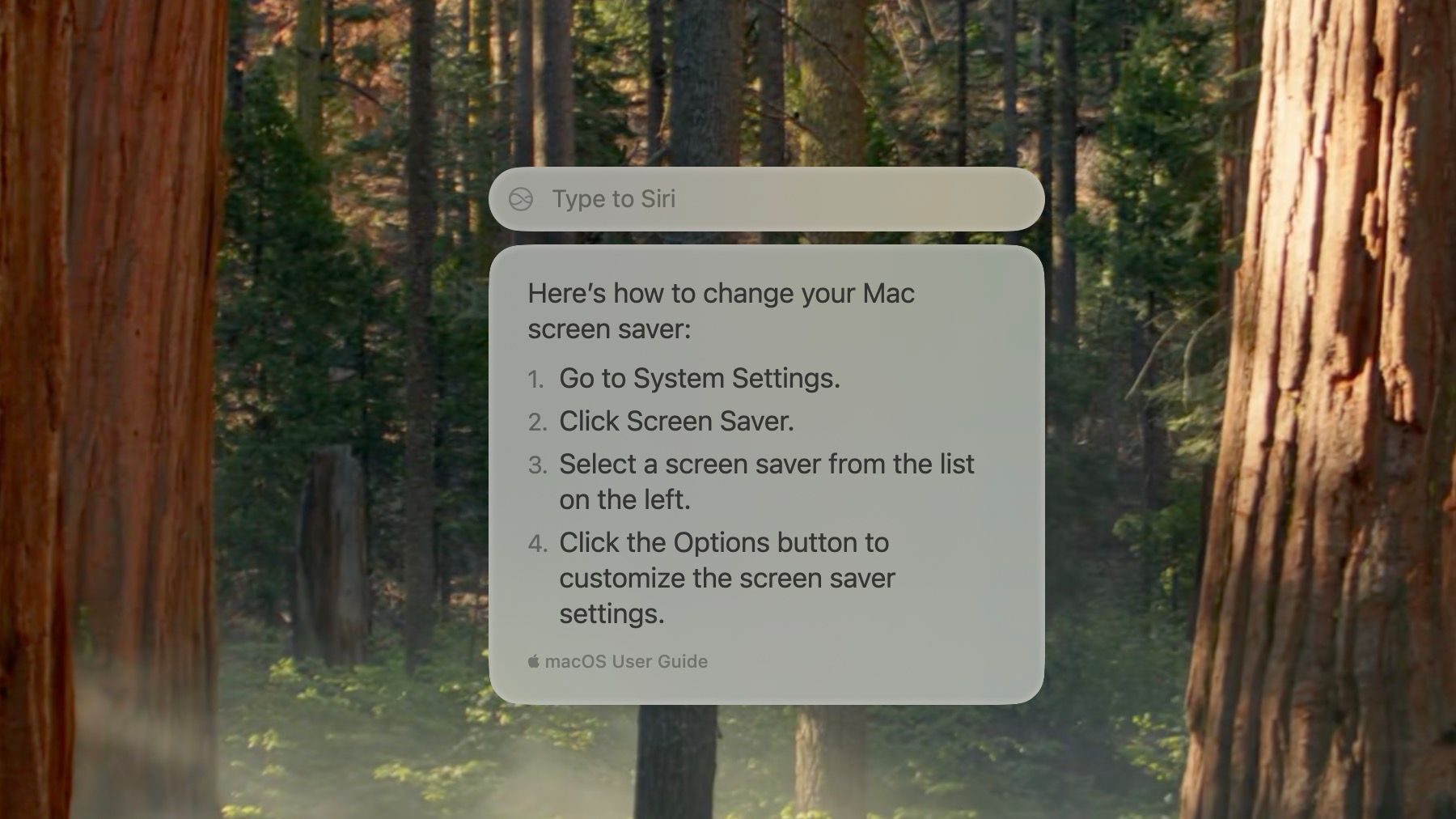 New Siri on macOS Sequoia 15.1