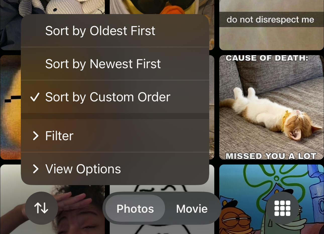 Sort and Filter options in the iOS Photos app in an album