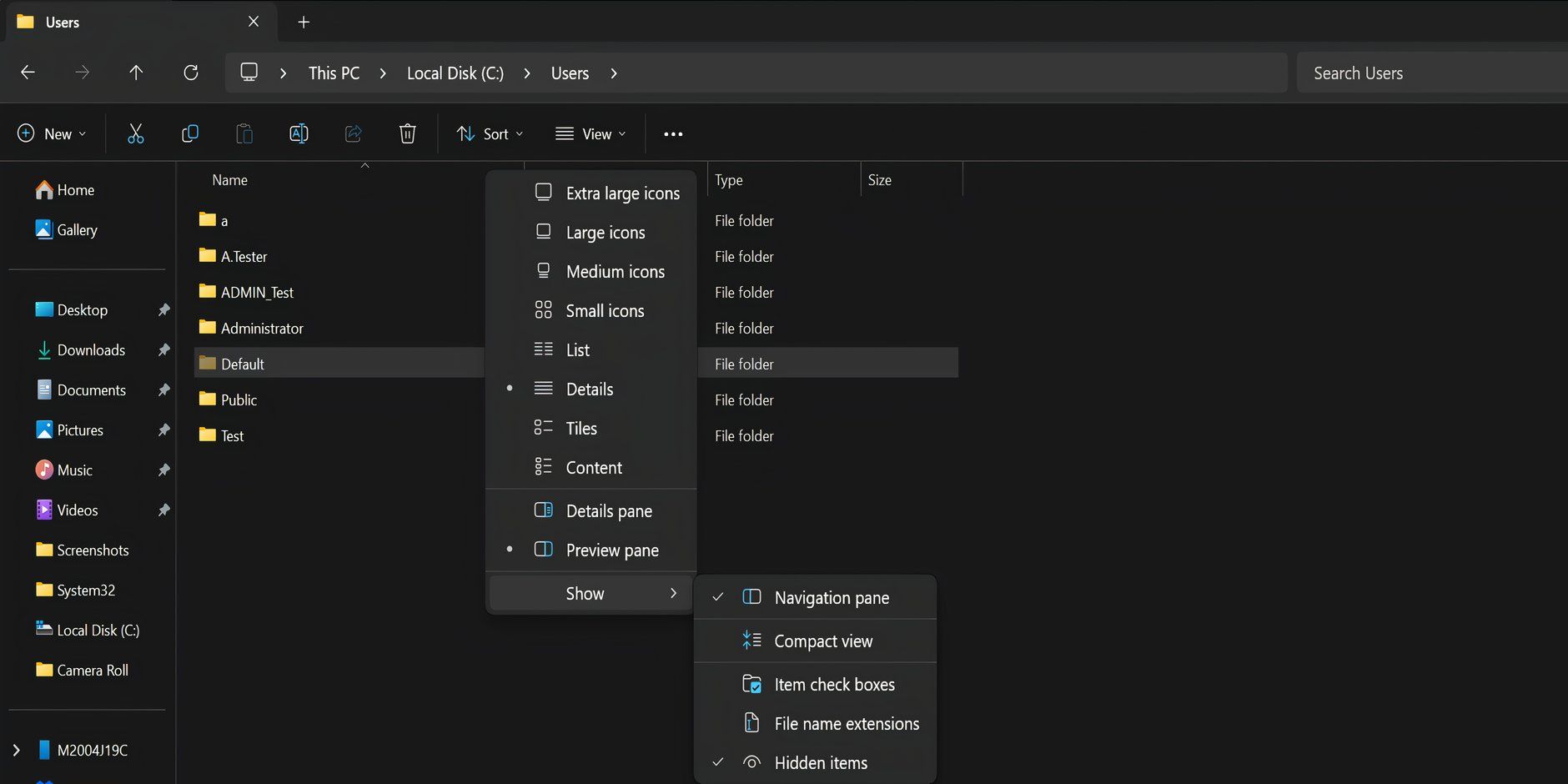 The File Explorer window with the Hidden items option in the Show section