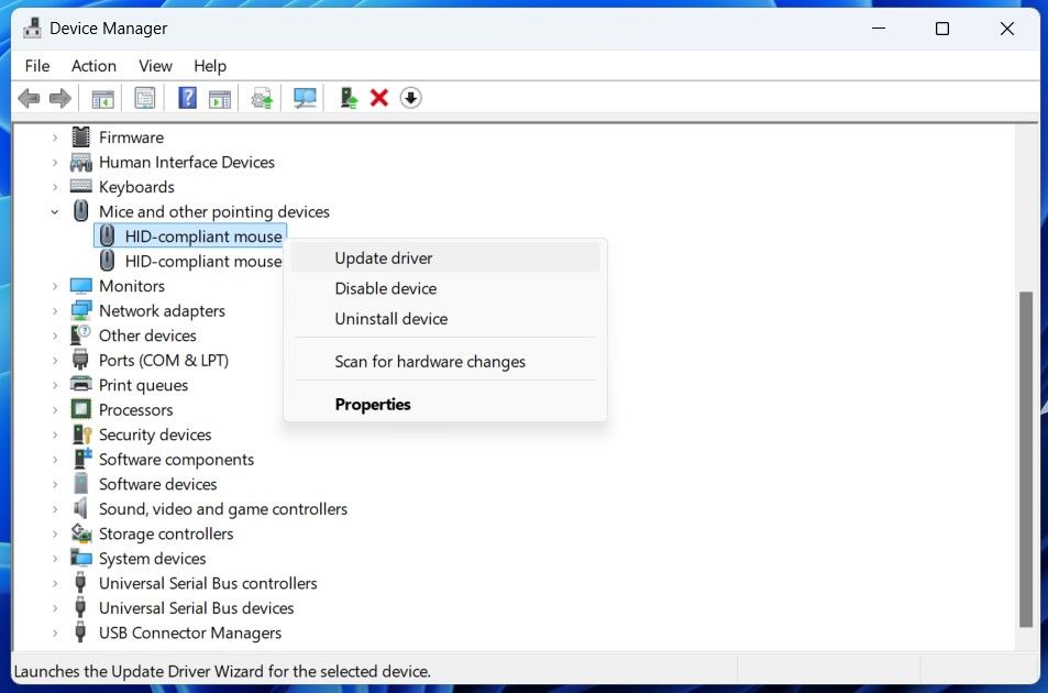 Update mouse driver option in Device Manager window