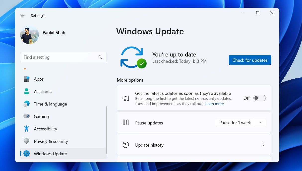 Windows Update Tab in Windows 11 Settings App