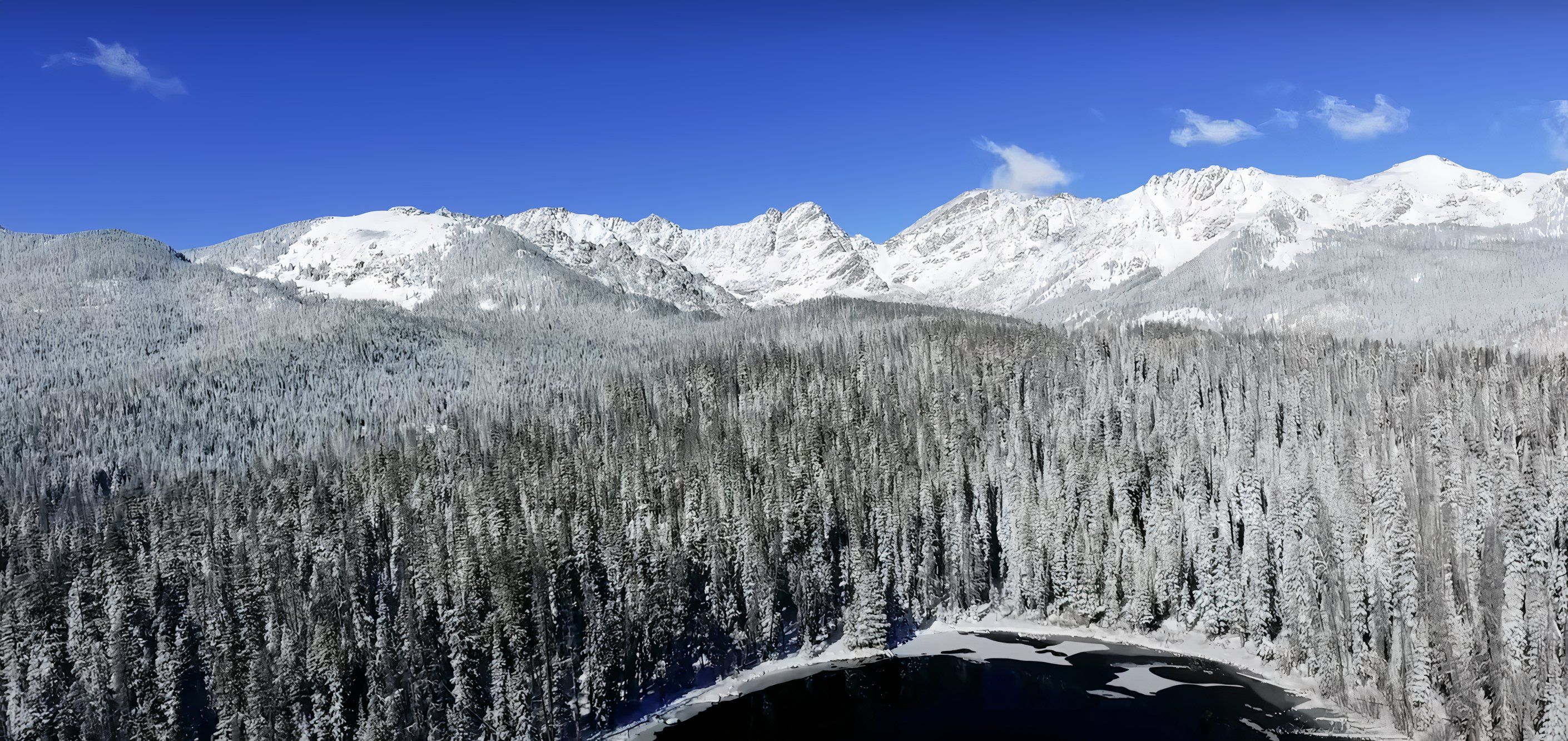 A nature scene on the 11 Hours of Winter Wonderland playlist.